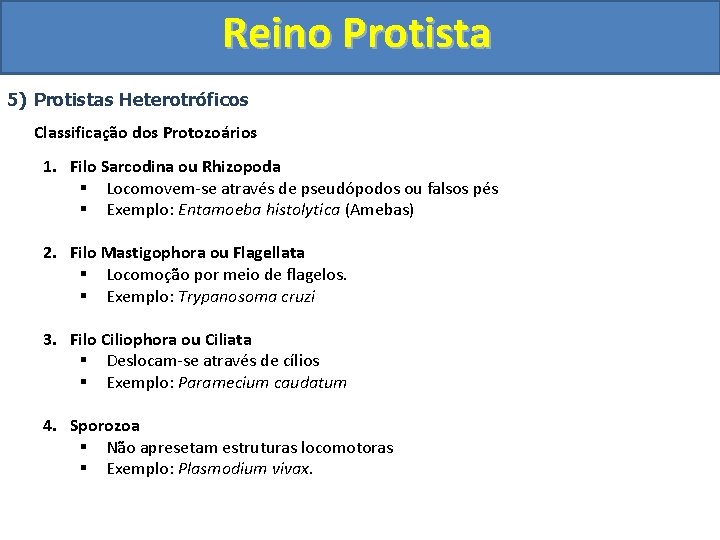 Reino Protista 5) Protistas Heterotróficos Classificação dos Protozoários 1. Filo Sarcodina ou Rhizopoda §