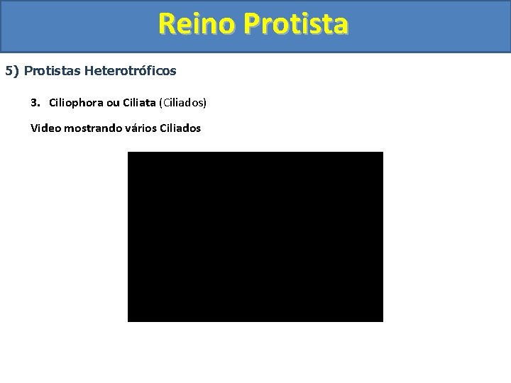 Reino Protista 5) Protistas Heterotróficos 3. Ciliophora ou Ciliata (Ciliados) Video mostrando vários Ciliados