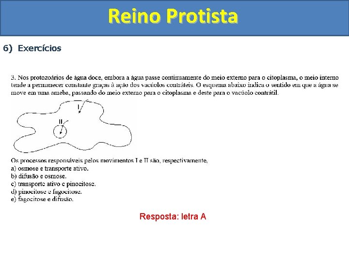 Reino Protista 6) Exercícios Resposta: letra A 