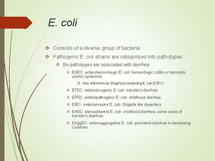 E. coli Consists of a diverse group of bacteria Pathogenic E. coli strains are