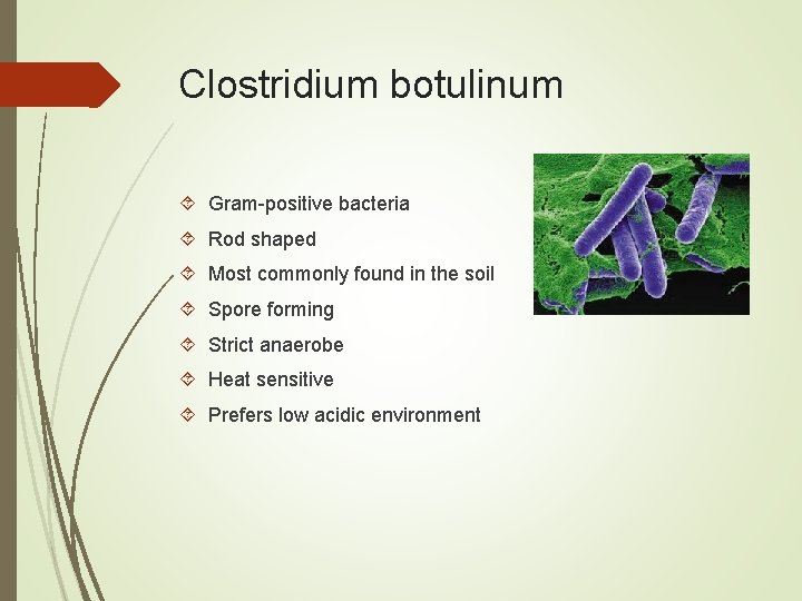 Clostridium botulinum Gram-positive bacteria Rod shaped Most commonly found in the soil Spore forming