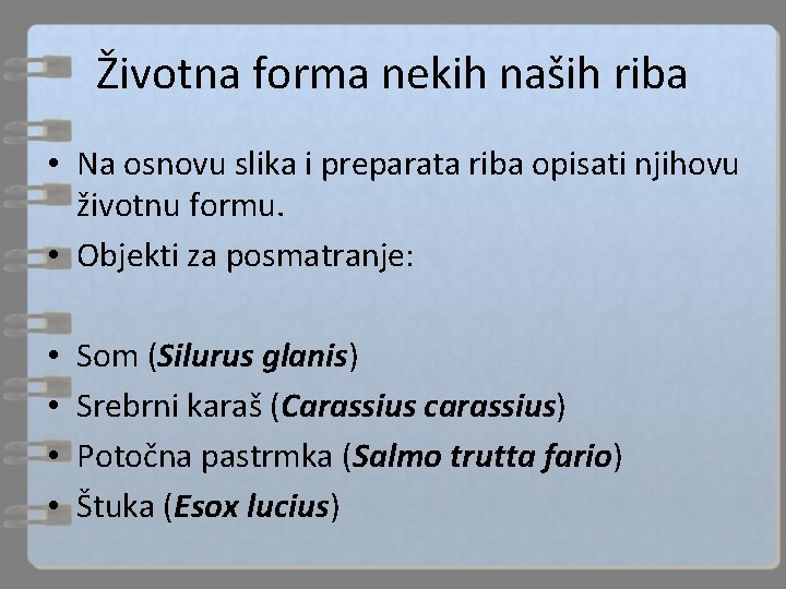 Životna forma nekih naših riba • Na osnovu slika i preparata riba opisati njihovu