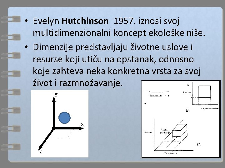  • Evelyn Hutchinson 1957. iznosi svoj multidimenzionalni koncept ekološke niše. • Dimenzije predstavljaju