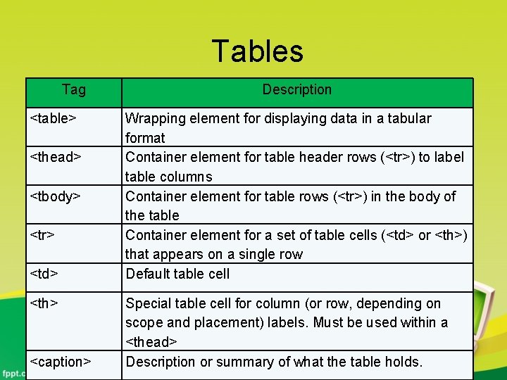 Tables Tag <table> <thead> <tbody> <tr> <td> <th> <caption> Description Wrapping element for displaying