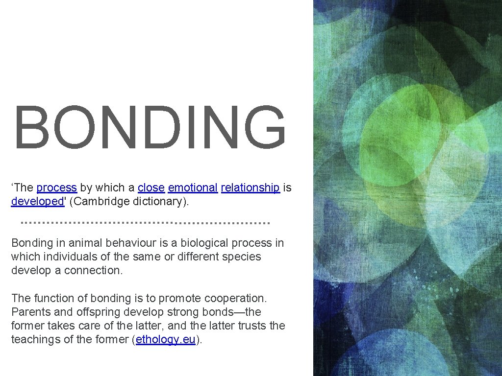 BONDING ‘The process by which a close emotional relationship is developed' (Cambridge dictionary). Bonding