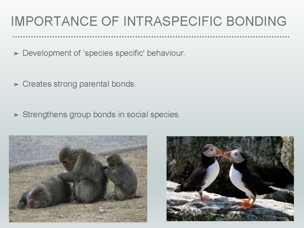 IMPORTANCE OF INTRASPECIFIC BONDING ➤ Development of ‘species specific' behaviour. ➤ Creates strong parental