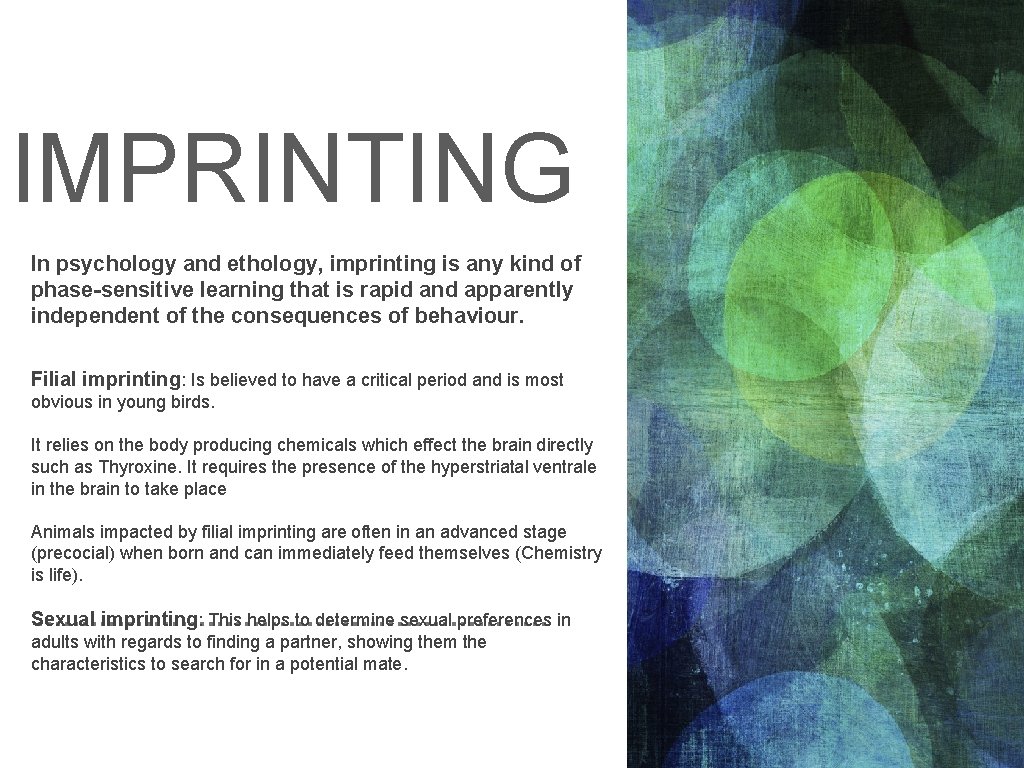 IMPRINTING In psychology and ethology, imprinting is any kind of phase-sensitive learning that is