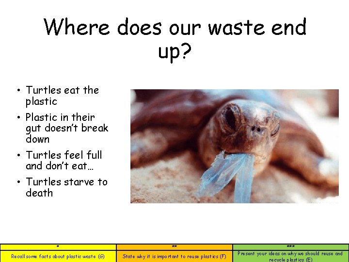 Where does our waste end up? • Turtles eat the plastic • Plastic in