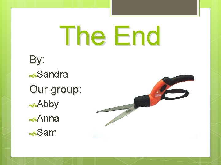 The End By: Sandra Our group: Abby Anna Sam 