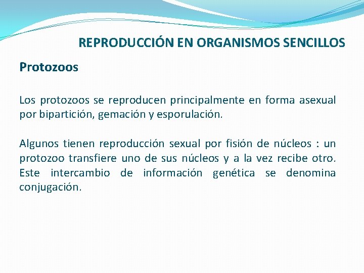 REPRODUCCIÓN EN ORGANISMOS SENCILLOS Protozoos Los protozoos se reproducen principalmente en forma asexual por
