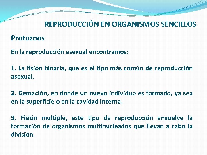 REPRODUCCIÓN EN ORGANISMOS SENCILLOS Protozoos En la reproducción asexual encontramos: 1. La fisión binaria,