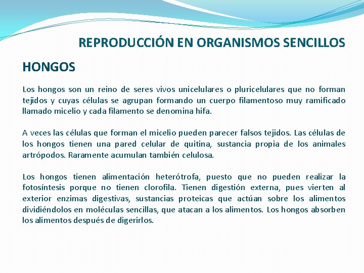 REPRODUCCIÓN EN ORGANISMOS SENCILLOS HONGOS Los hongos son un reino de seres vivos unicelulares