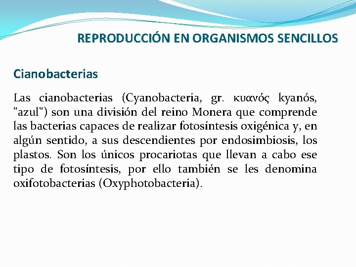 REPRODUCCIÓN EN ORGANISMOS SENCILLOS Cianobacterias Las cianobacterias (Cyanobacteria, gr. κυανός kyanós, "azul") son una