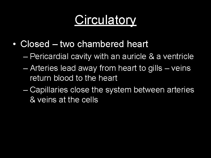 Circulatory • Closed – two chambered heart – Pericardial cavity with an auricle &