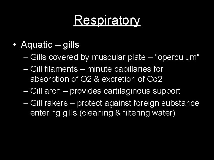 Respiratory • Aquatic – gills – Gills covered by muscular plate – “operculum” –
