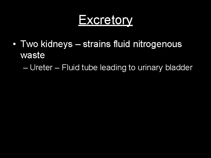Excretory • Two kidneys – strains fluid nitrogenous waste – Ureter – Fluid tube