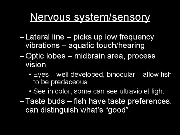 Nervous system/sensory – Lateral line – picks up low frequency vibrations – aquatic touch/hearing