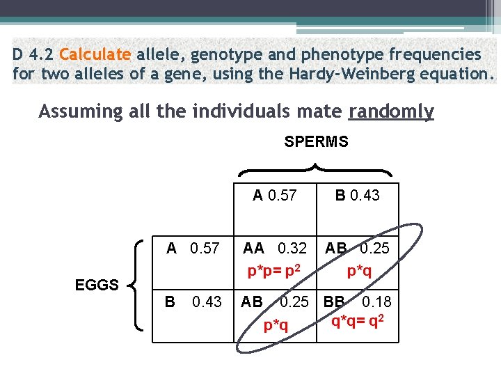 D 4. 2 Calculate allele, genotype and phenotype frequencies for two alleles of a