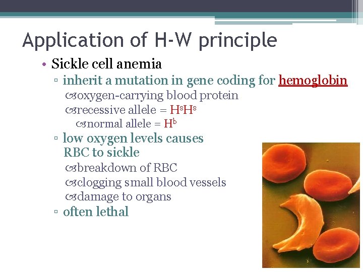 Application of H-W principle • Sickle cell anemia ▫ inherit a mutation in gene