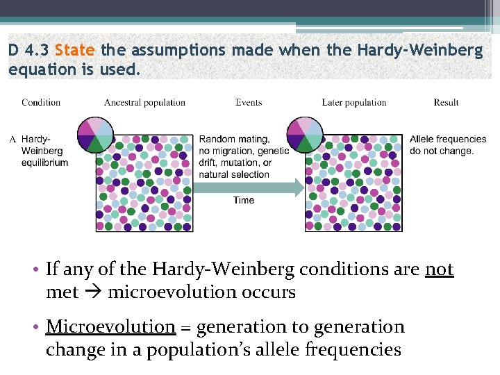 D 4. 3 State the assumptions made when the Hardy-Weinberg equation is used. •