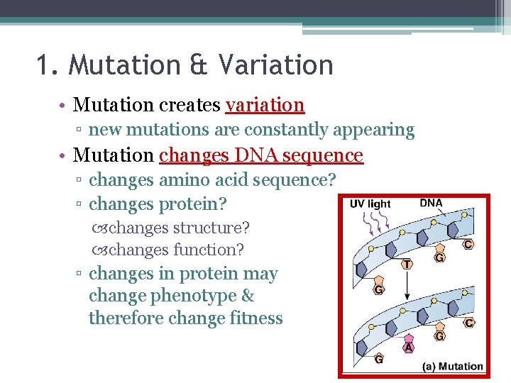 1. Mutation & Variation • Mutation creates variation ▫ new mutations are constantly appearing