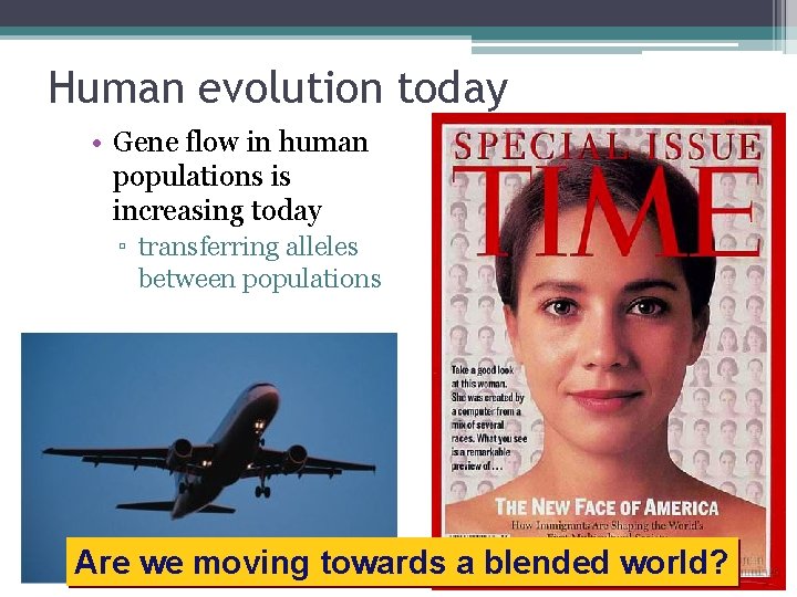 Human evolution today • Gene flow in human populations is increasing today ▫ transferring