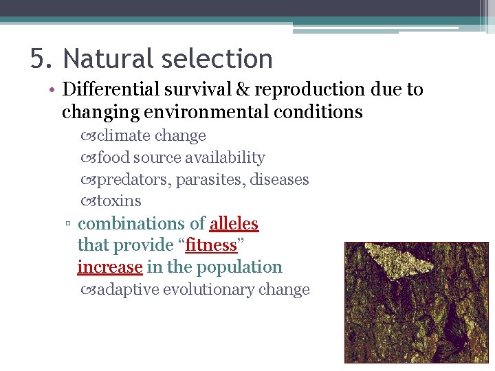 5. Natural selection • Differential survival & reproduction due to changing environmental conditions climate