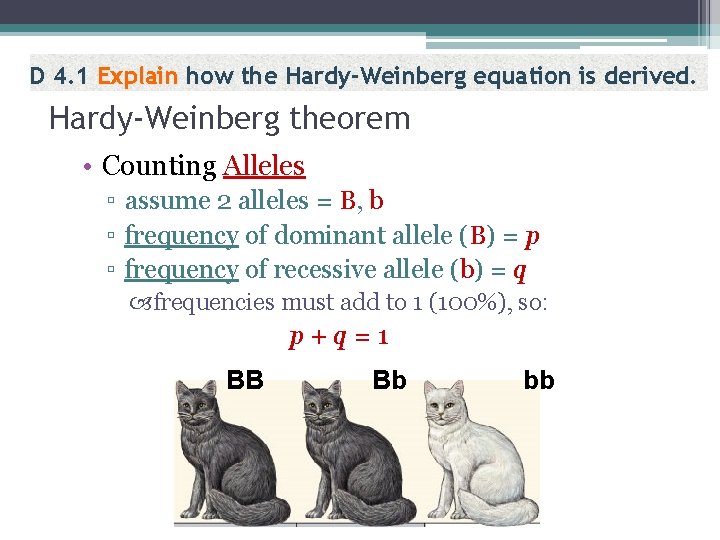 D 4. 1 Explain how the Hardy-Weinberg equation is derived. Hardy-Weinberg theorem • Counting