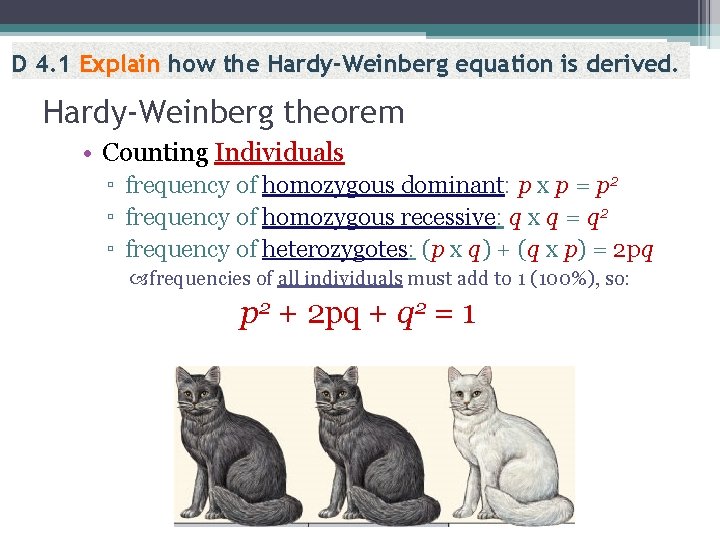 BBHardy-Weinberg Bb equation bbis derived. D 4. 1 Explain how the Hardy-Weinberg theorem •