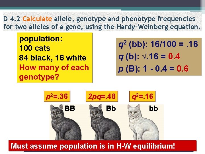 D 4. 2 Calculate allele, genotype and phenotype frequencies for two alleles of a