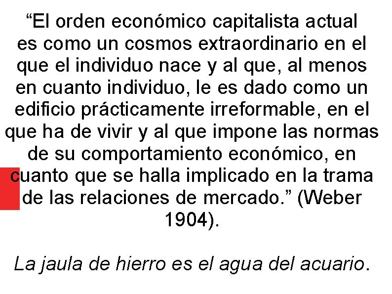 “El orden económico capitalista actual es como un cosmos extraordinario en el que el