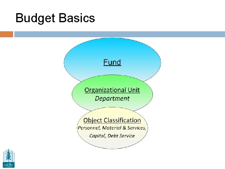 Budget Basics 