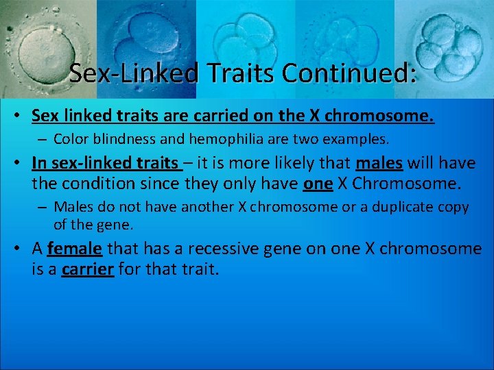 Sex-Linked Traits Continued: • Sex linked traits are carried on the X chromosome. –