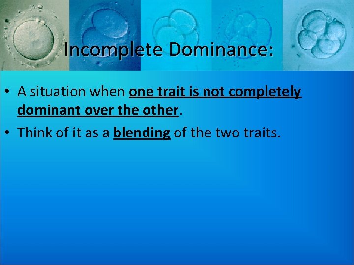 Incomplete Dominance: • A situation when one trait is not completely dominant over the