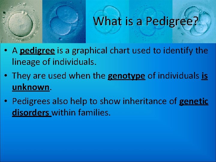 What is a Pedigree? • A pedigree is a graphical chart used to identify
