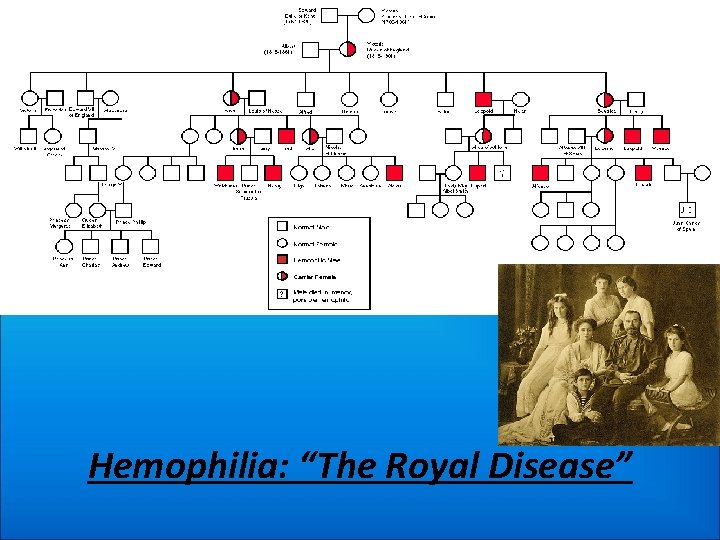 Hemophilia: “The Royal Disease” 