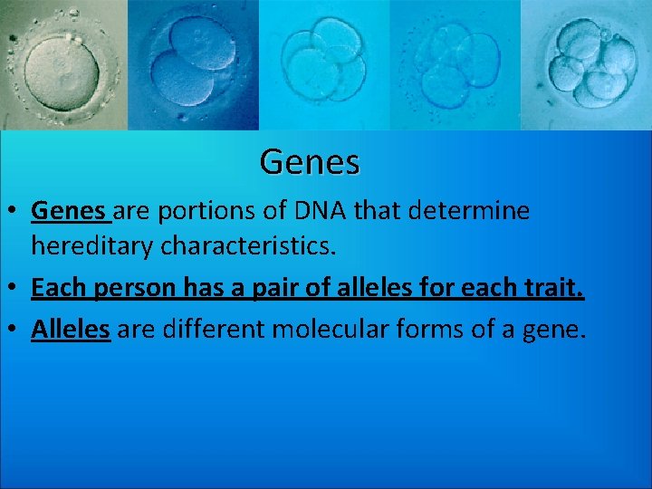 Genes • Genes are portions of DNA that determine hereditary characteristics. • Each person