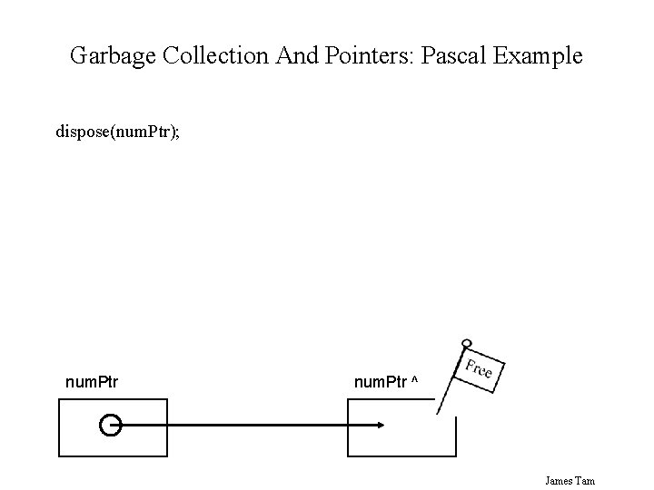 Garbage Collection And Pointers: Pascal Example dispose(num. Ptr); num. Ptr ^ James Tam 