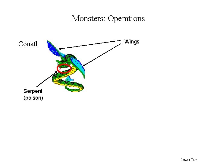 Monsters: Operations Couatl Wings Serpent (poison) James Tam 