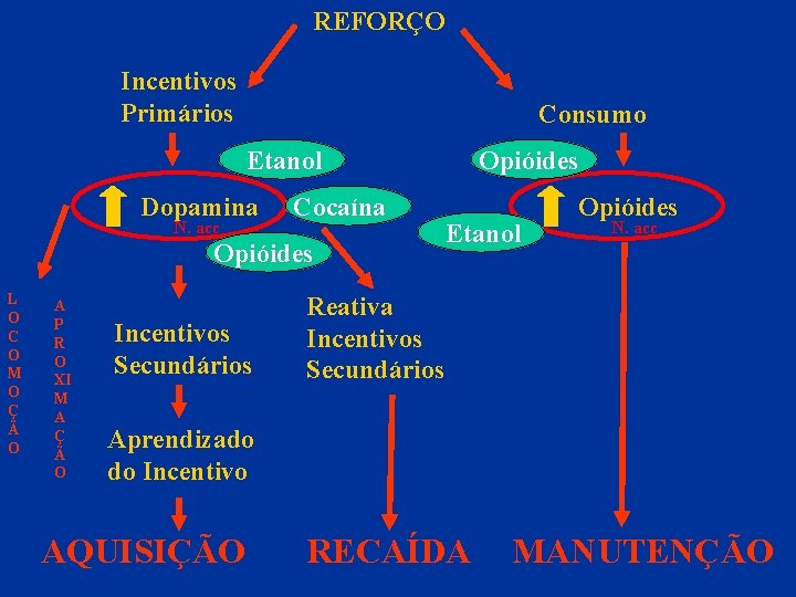 REFORÇO Incentivos Primários Consumo Etanol Dopamina N. acc Cocaína Opióides L O C O