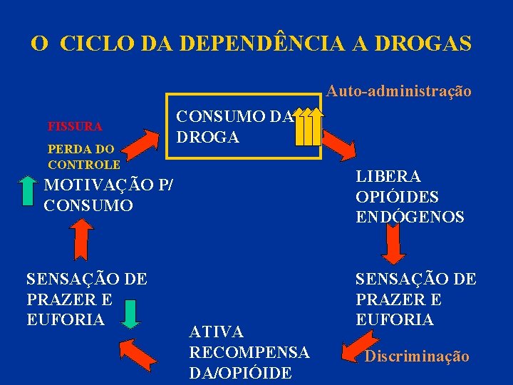 O CICLO DA DEPENDÊNCIA A DROGAS Auto-administração FISSURA PERDA DO CONTROLE CONSUMO DA DROGA