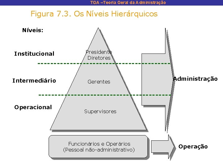 TGA –Teoria Geral da Administração Figura 7. 3. Os Níveis Hierárquicos Níveis: Institucional Presidente
