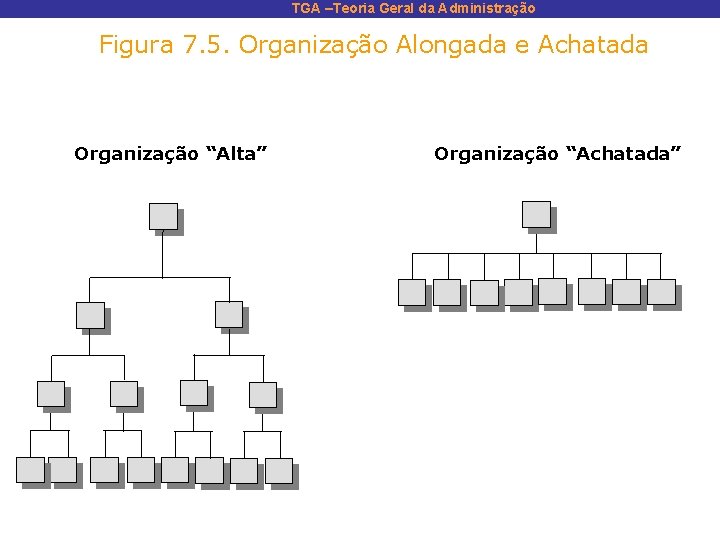TGA –Teoria Geral da Administração Figura 7. 5. Organização Alongada e Achatada Organização “Alta”
