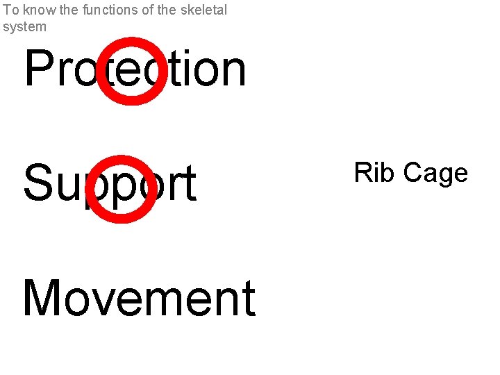 To know the functions of the skeletal system Protection Support Movement Rib Cage 