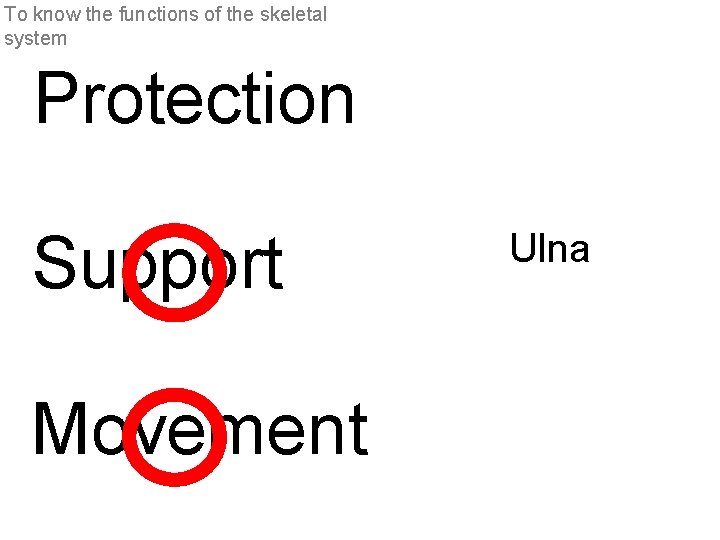 To know the functions of the skeletal system Protection Support Movement Ulna 