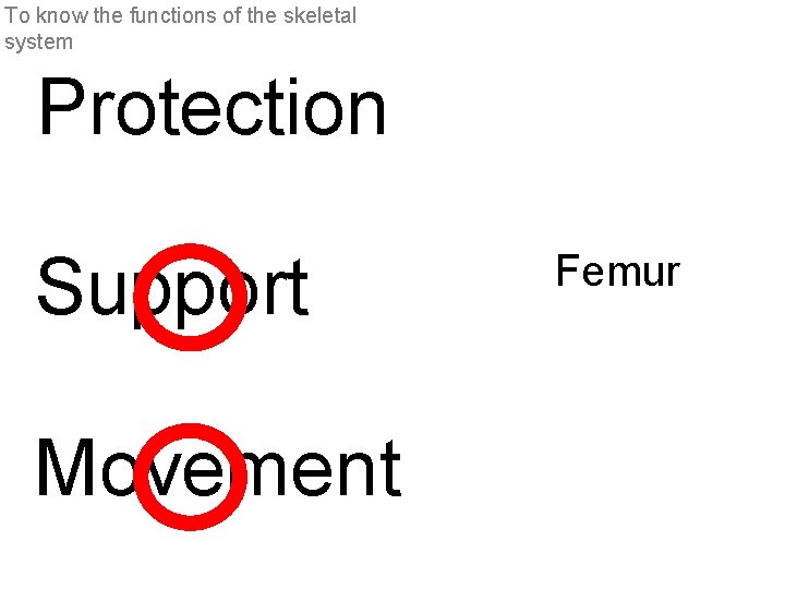 To know the functions of the skeletal system Protection Support Movement Femur 