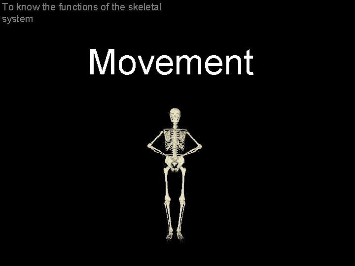 To know the functions of the skeletal system Movement 