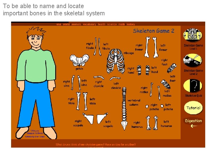 To be able to name and locate important bones in the skeletal system 