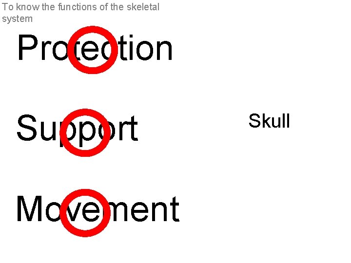 To know the functions of the skeletal system Protection Support Movement Skull 