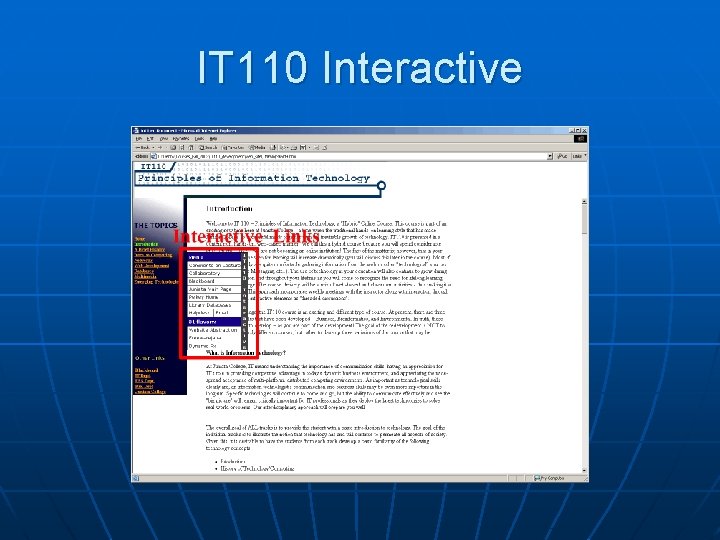IT 110 Interactive 